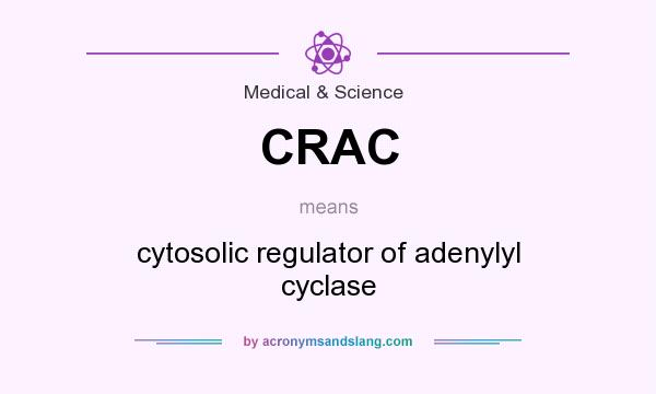 What does CRAC mean? It stands for cytosolic regulator of adenylyl cyclase