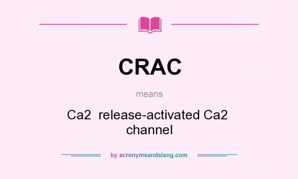 What does CRAC mean? It stands for Ca2  release-activated Ca2  channel