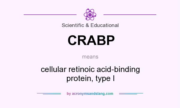 What does CRABP mean? It stands for cellular retinoic acid-binding protein, type I