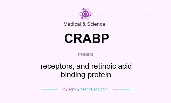 What does CRABP mean? It stands for receptors, and retinoic acid binding protein