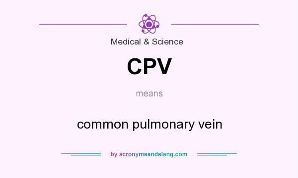 What does CPV mean? It stands for common pulmonary vein