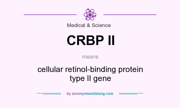 What does CRBP II mean? It stands for cellular retinol-binding protein type II gene