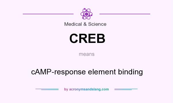 What does CREB mean? It stands for cAMP-response element binding