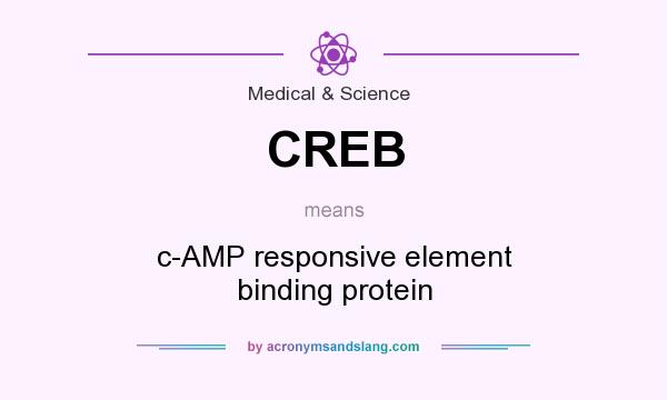 What does CREB mean? It stands for c-AMP responsive element binding protein