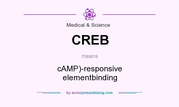 What does CREB mean? It stands for cAMP)-responsive elementbinding