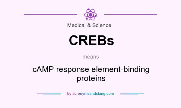 What does CREBs mean? It stands for cAMP response element-binding proteins