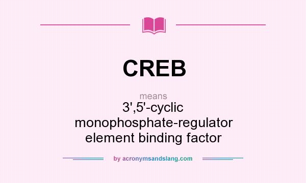 What does CREB mean? It stands for 3`,5`-cyclic monophosphate-regulator element binding factor