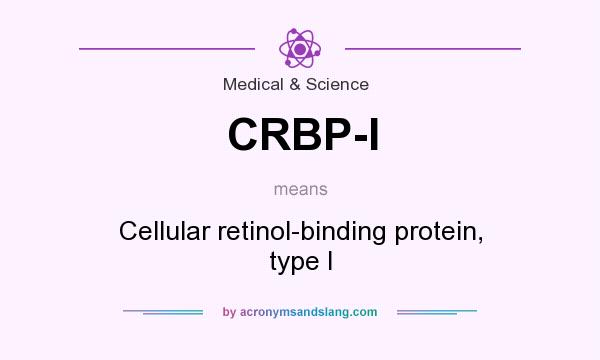 What does CRBP-I mean? It stands for Cellular retinol-binding protein, type I