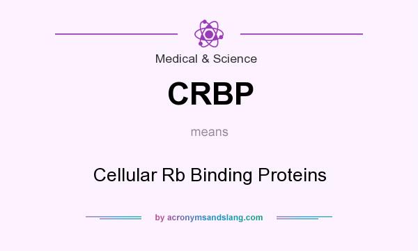 What does CRBP mean? It stands for Cellular Rb Binding Proteins