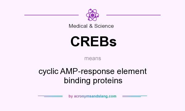 What does CREBs mean? It stands for cyclic AMP-response element binding proteins