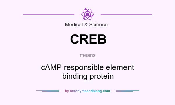 What does CREB mean? It stands for cAMP responsible element binding protein