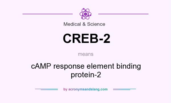 What does CREB-2 mean? It stands for cAMP response element binding protein-2