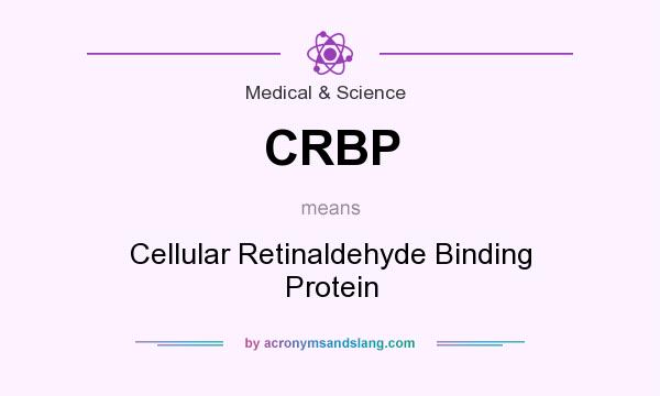 What does CRBP mean? It stands for Cellular Retinaldehyde Binding Protein