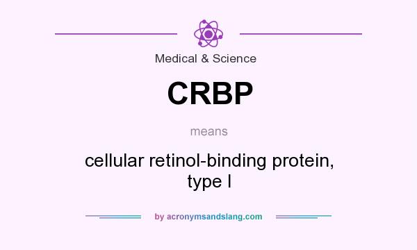 What does CRBP mean? It stands for cellular retinol-binding protein, type I