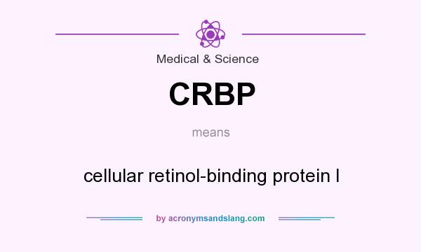 What does CRBP mean? It stands for cellular retinol-binding protein I