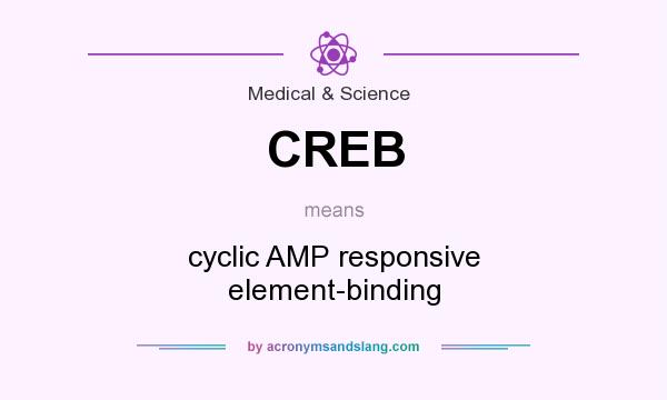 What does CREB mean? It stands for cyclic AMP responsive element-binding