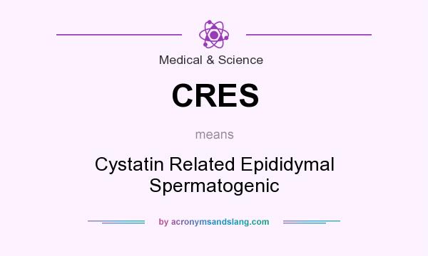 What does CRES mean? It stands for Cystatin Related Epididymal Spermatogenic