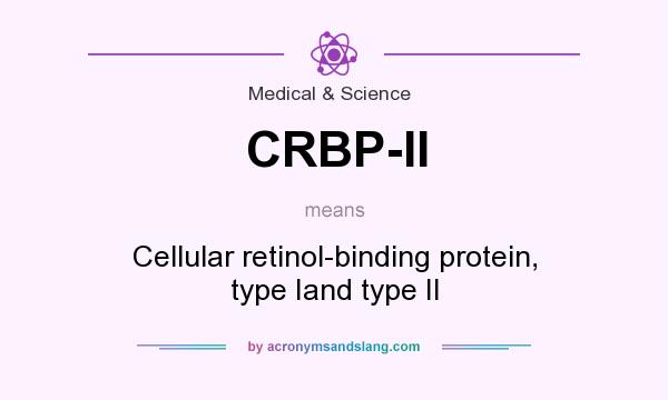 What does CRBP-II mean? It stands for Cellular retinol-binding protein, type Iand type II