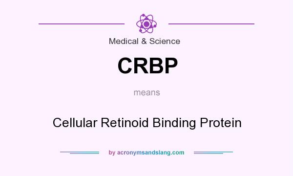 What does CRBP mean? It stands for Cellular Retinoid Binding Protein
