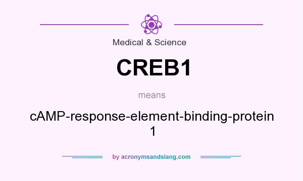 What does CREB1 mean? It stands for cAMP-response-element-binding-protein 1