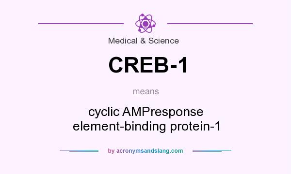 What does CREB-1 mean? It stands for cyclic AMPresponse element-binding protein-1