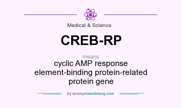What does CREB-RP mean? It stands for cyclic AMP response element-binding protein-related protein gene