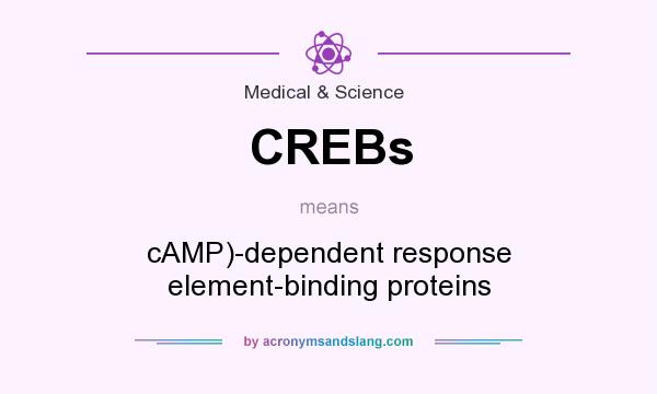 What does CREBs mean? It stands for cAMP)-dependent response element-binding proteins