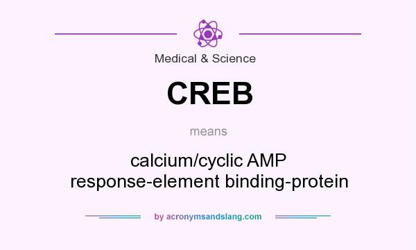 What does CREB mean? It stands for calcium/cyclic AMP response-element binding-protein