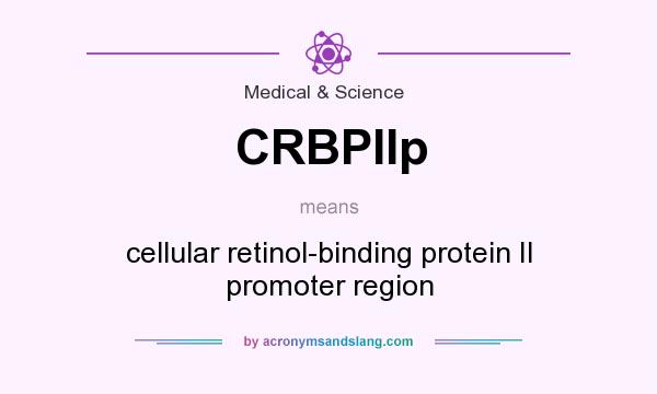 What does CRBPIIp mean? It stands for cellular retinol-binding protein II promoter region