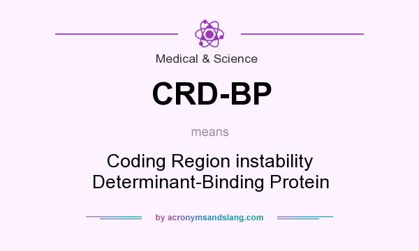 What does CRD-BP mean? It stands for Coding Region instability Determinant-Binding Protein