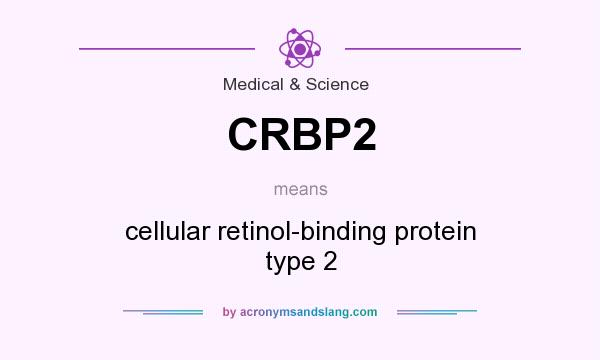 What does CRBP2 mean? It stands for cellular retinol-binding protein type 2