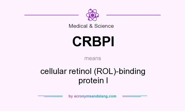 What does CRBPI mean? It stands for cellular retinol (ROL)-binding protein I