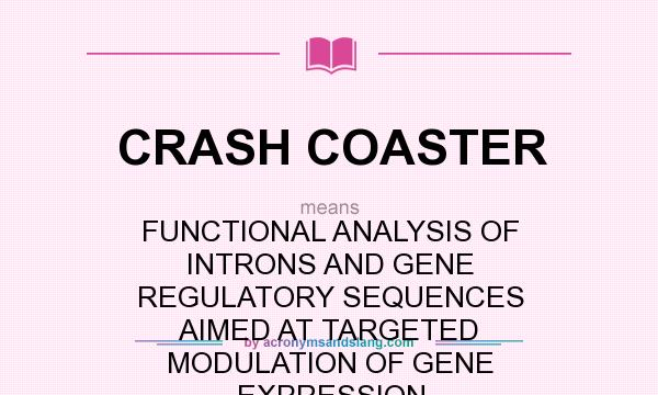 What does CRASH COASTER mean? It stands for FUNCTIONAL ANALYSIS OF INTRONS AND GENE REGULATORY SEQUENCES AIMED AT TARGETED MODULATION OF GENE EXPRESSION
