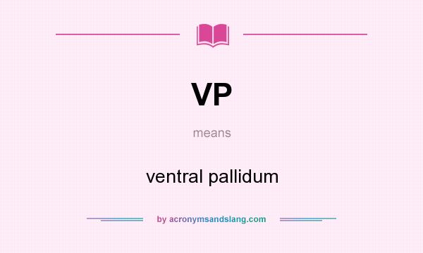 What does VP mean? It stands for ventral pallidum