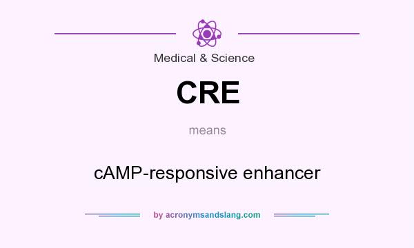 What does CRE mean? It stands for cAMP-responsive enhancer