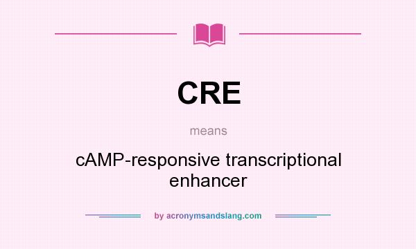 What does CRE mean? It stands for cAMP-responsive transcriptional enhancer