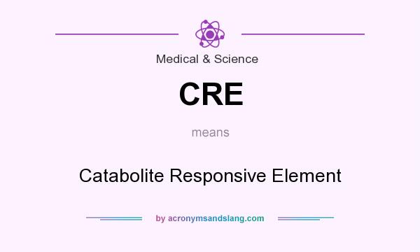 What does CRE mean? It stands for Catabolite Responsive Element