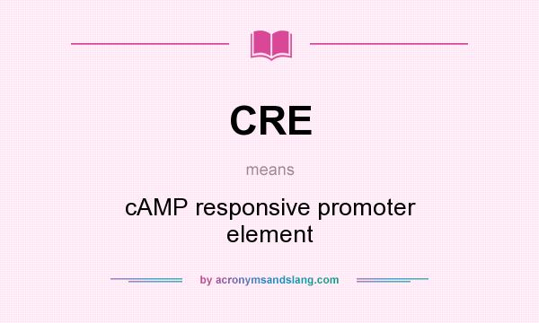 What does CRE mean? It stands for cAMP responsive promoter element