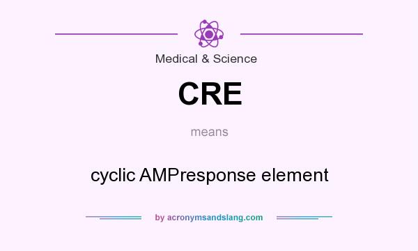 What does CRE mean? It stands for cyclic AMPresponse element