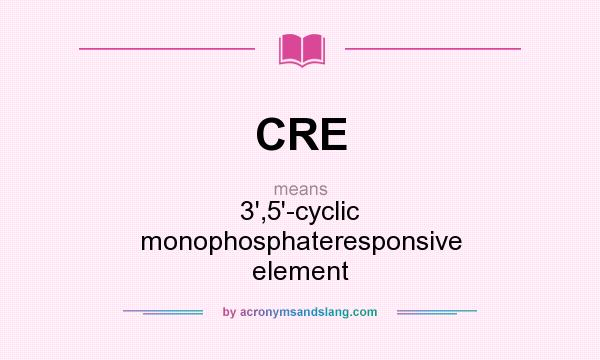 What does CRE mean? It stands for 3`,5`-cyclic monophosphateresponsive element