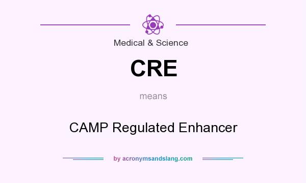 What does CRE mean? It stands for CAMP Regulated Enhancer