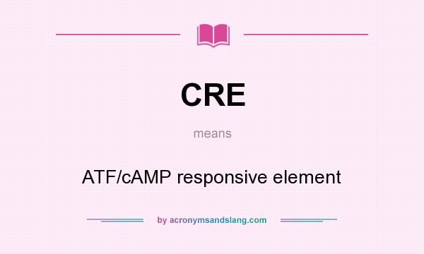 What does CRE mean? It stands for ATF/cAMP responsive element