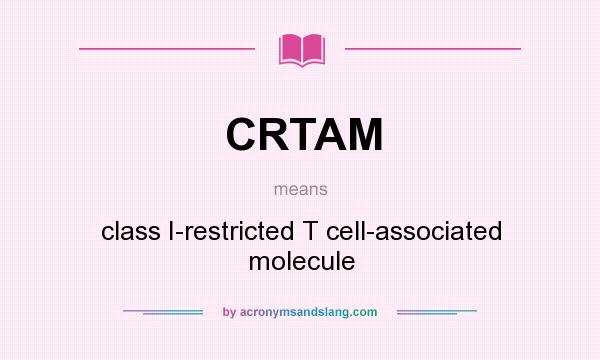 What does CRTAM mean? It stands for class I-restricted T cell-associated molecule