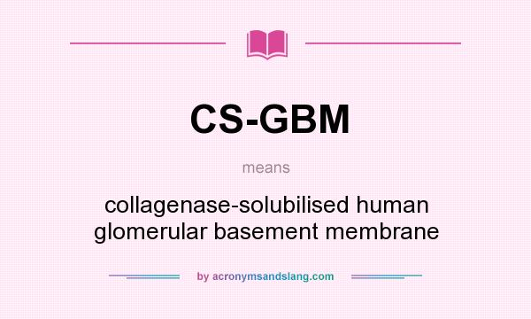 What does CS-GBM mean? It stands for collagenase-solubilised human glomerular basement membrane