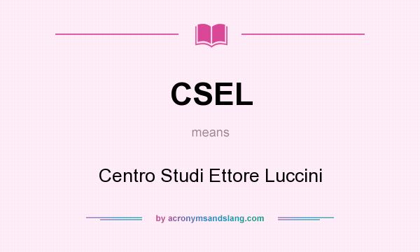 What does CSEL mean? It stands for Centro Studi Ettore Luccini