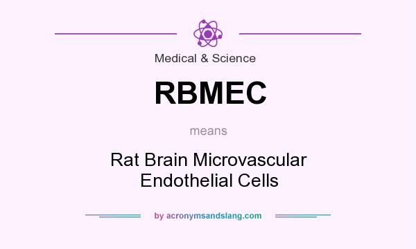 What does RBMEC mean? It stands for Rat Brain Microvascular Endothelial Cells