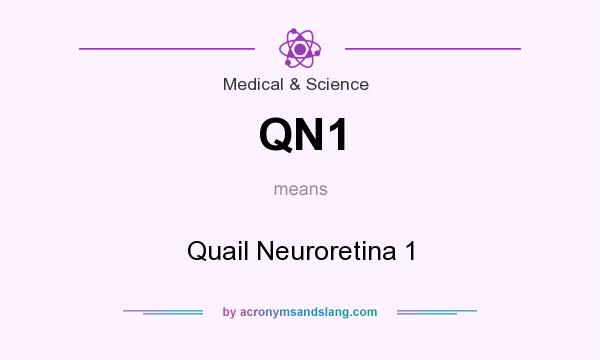 What does QN1 mean? It stands for Quail Neuroretina 1