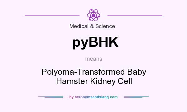 What does pyBHK mean? It stands for Polyoma-Transformed Baby Hamster Kidney Cell