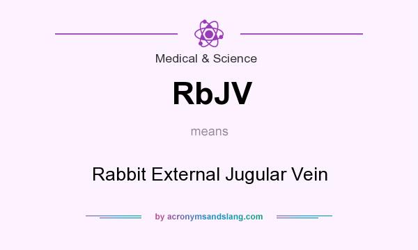 What does RbJV mean? It stands for Rabbit External Jugular Vein