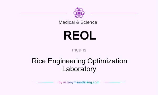 What does REOL mean? It stands for Rice Engineering Optimization Laboratory